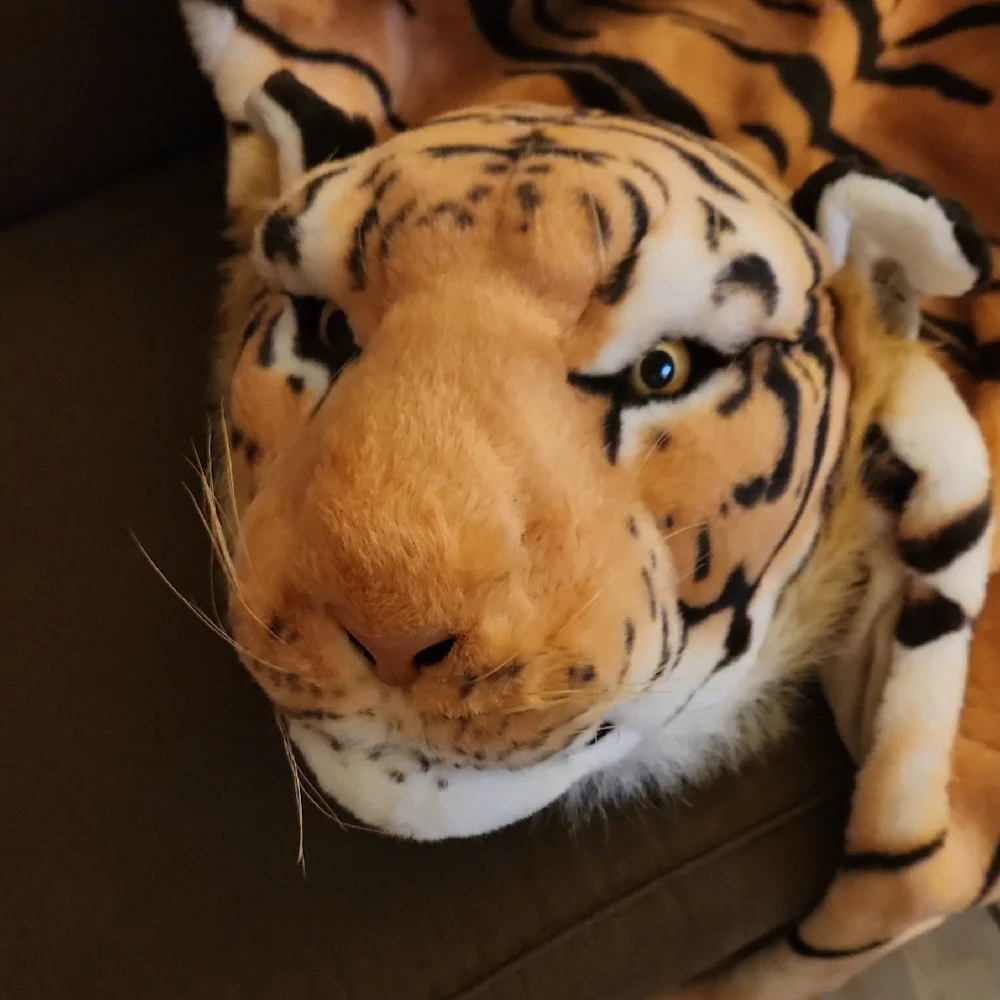 Tiger Rug - Picture 2 of 3